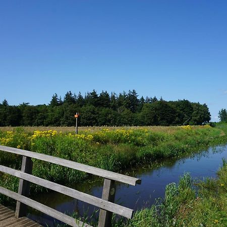 B&B Aan Het Bos Ter Apel Екстер'єр фото